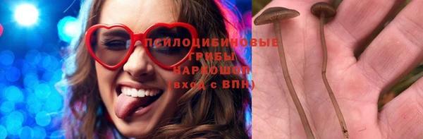 гашик Нефтекумск